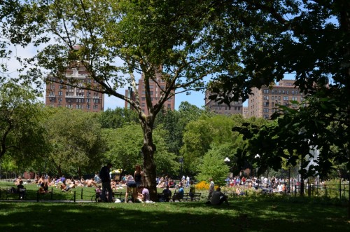 washington-square-844