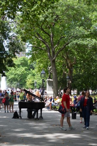 washington-square-873